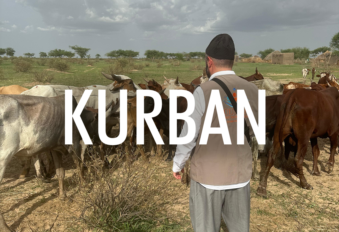 2026 AFRİKA KURBAN KESİMİ